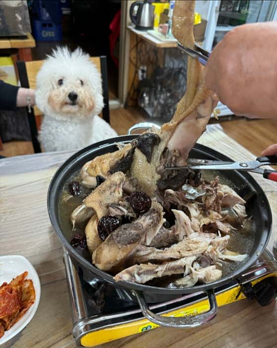 촌닭 백숙 (대) 메뉴 사진(네이버)