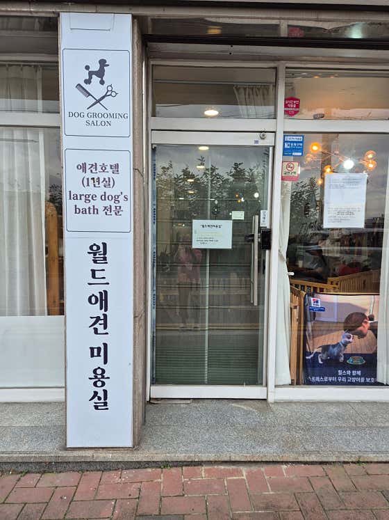 월드애견미용실 · 네이버 지도·플레이스 2