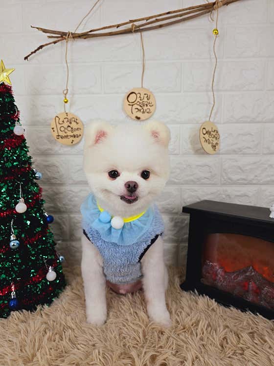 개최고 · 네이버 지도·플레이스 2