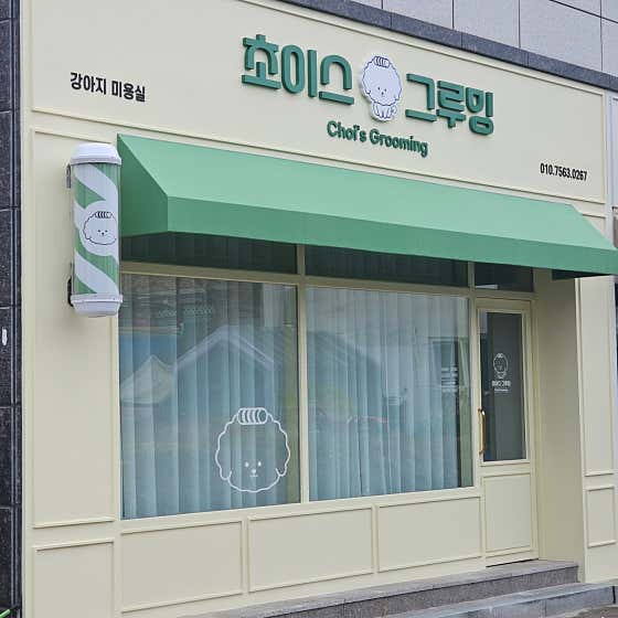 초이스 그루밍