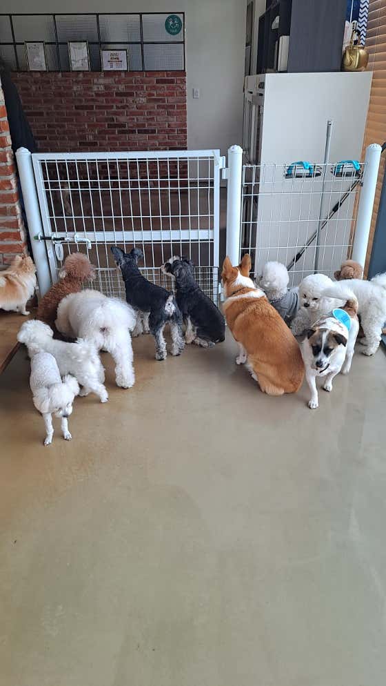 라라펍 대표이미지