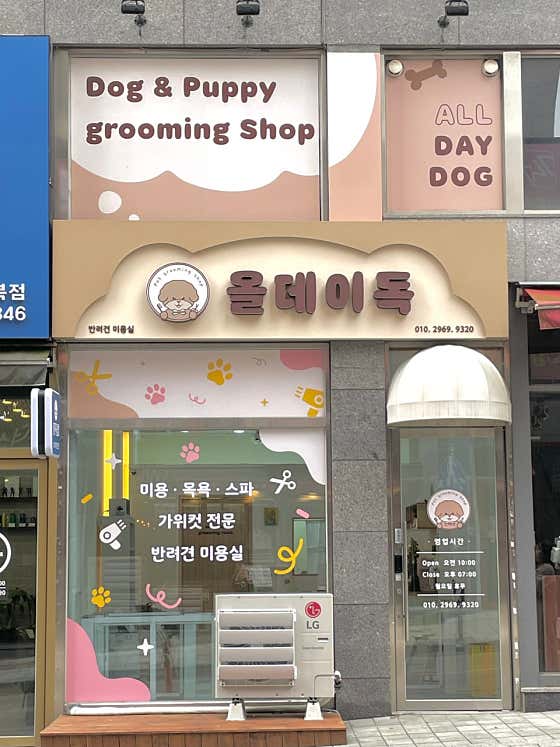 올데이독 · 네이버 지도·플레이스 2