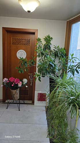 로즈테라피 (정자역) 매장 사진 2