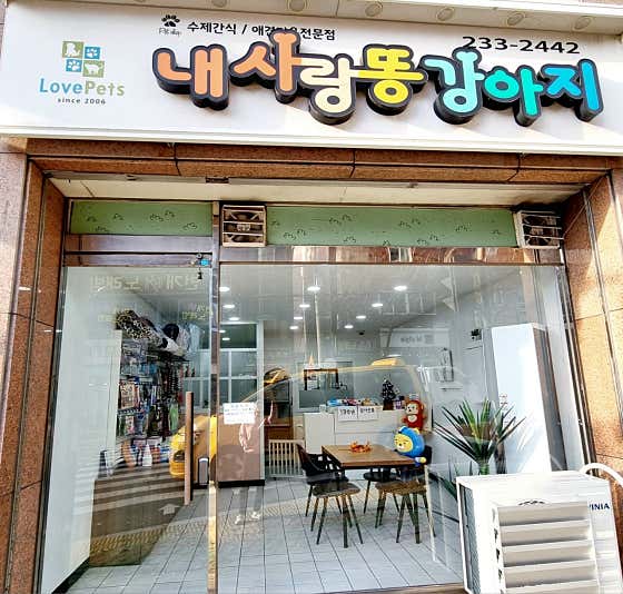 내사랑똥강아지 · 네이버 지도·플레이스 2