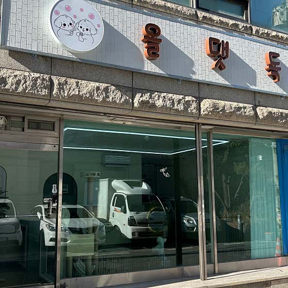 올댓독 애견미용실 · 네이버 지도·플레이스 2