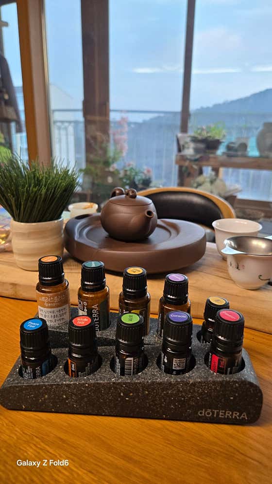 로즈테라피 (정자역) 매장 사진 1