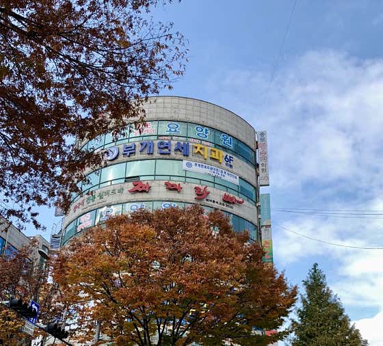 부개연세치과의원 — 네이버 플레이스 업체 등록 사진 1