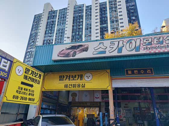 맡겨보개 · 네이버 지도·플레이스 3