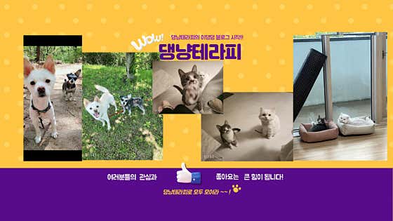 댕냥테라피 · 네이버 지도·플레이스 6