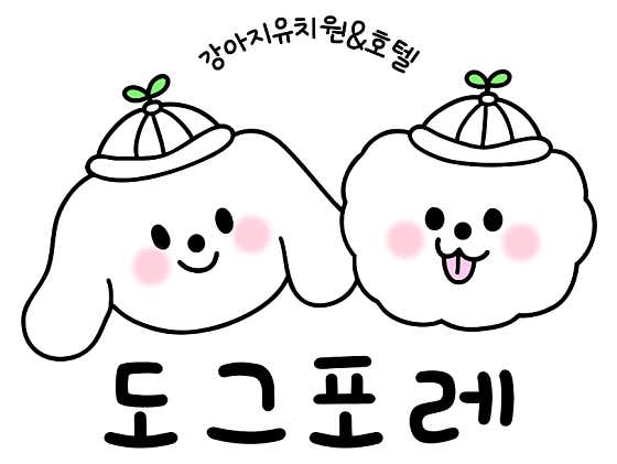 도그포레 강아지유치원