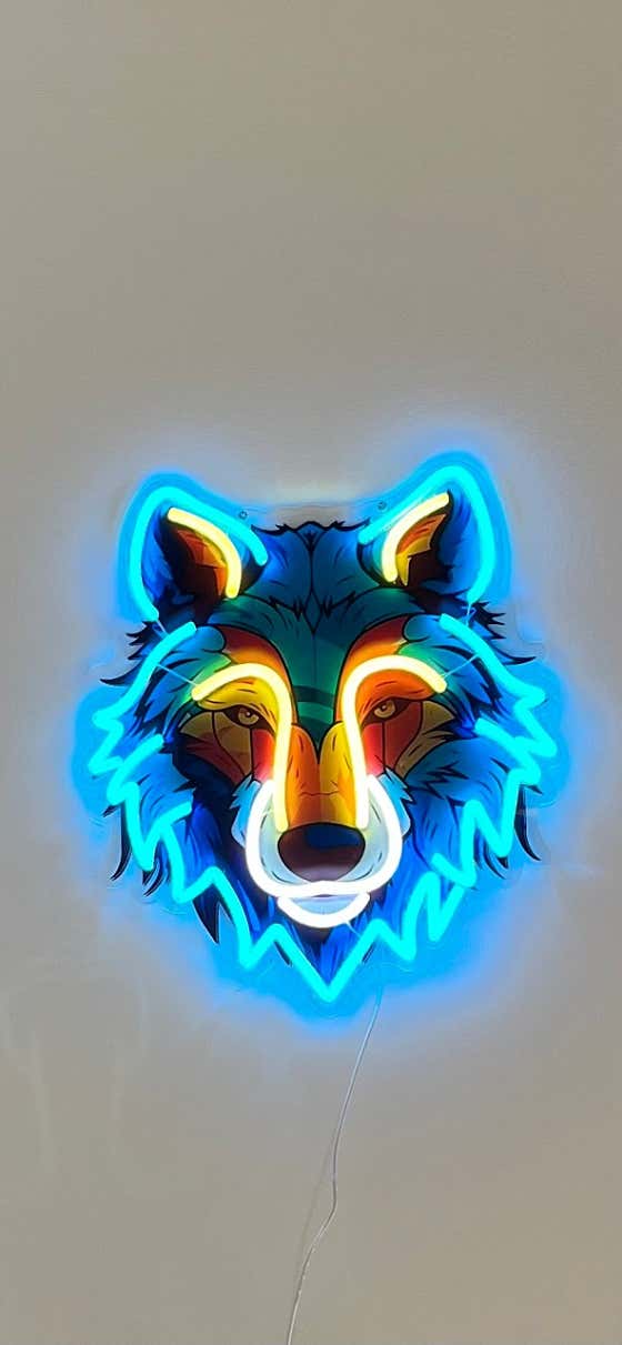 디앤씨펫푸드 해운대점 · 네이버 지도·플레이스 9
