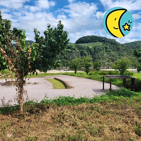 달빛정원 · 네이버 지도·플레이스 2
