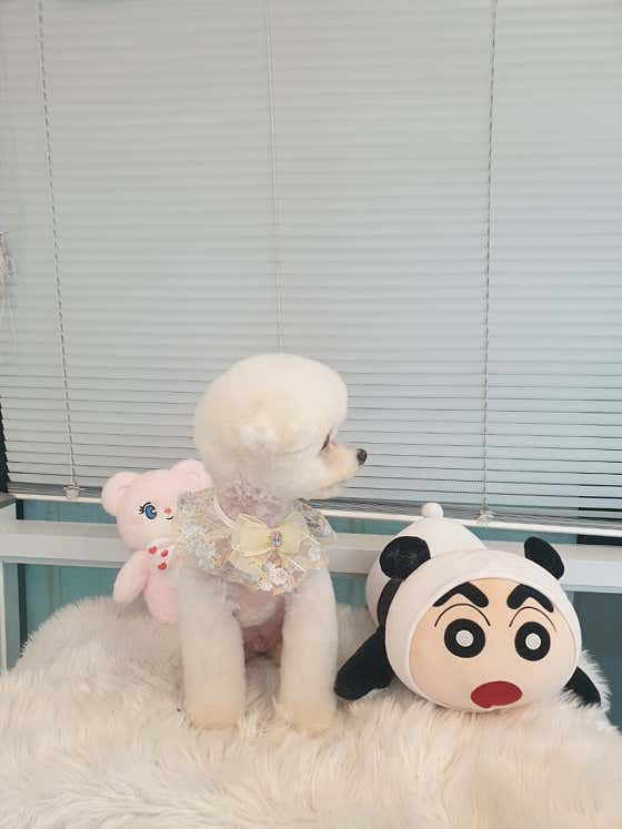 몽하트 · 네이버 지도·플레이스 2