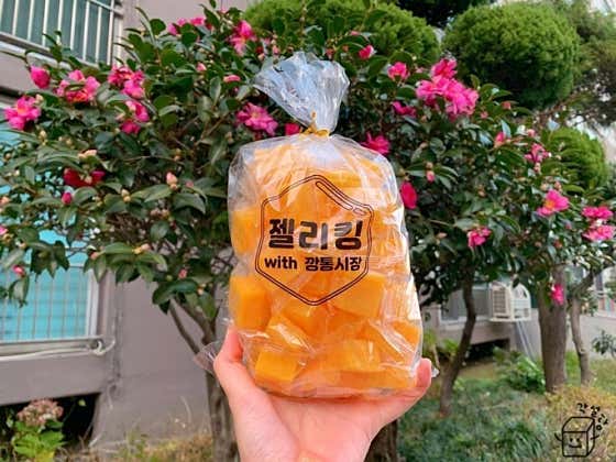 젤리젤라 젤리킹20