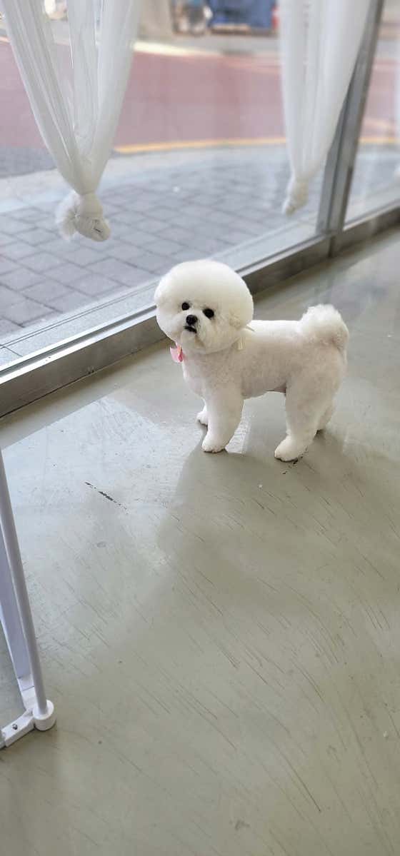 멍스타 · 네이버 지도·플레이스 10