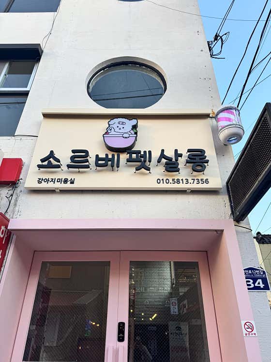 소르베 펫살롱 · 네이버 지도·플레이스 2