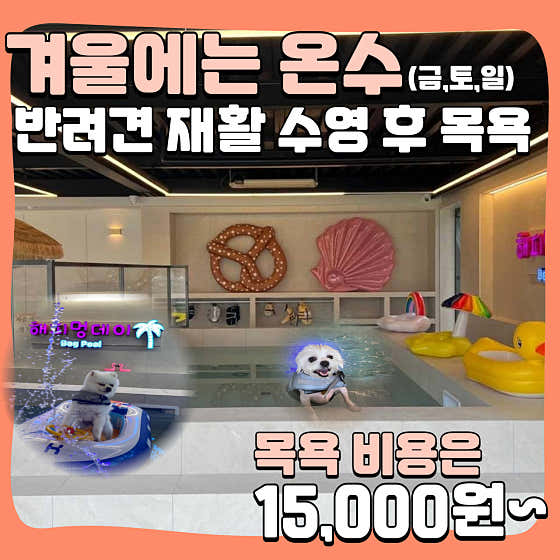 해피멍데이 애견미용 · 네이버 지도·플레이스 2