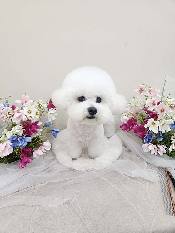 라이크테테 · 네이버 지도·플레이스 3
