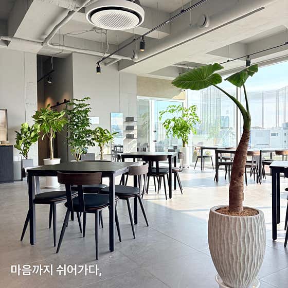 하루쉼표 · 네이버 지도·플레이스 7