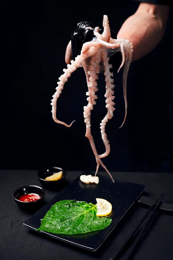 산낙지(1마리) 메뉴 사진(네이버)