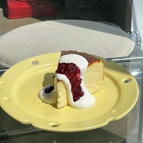 카페 앨리스