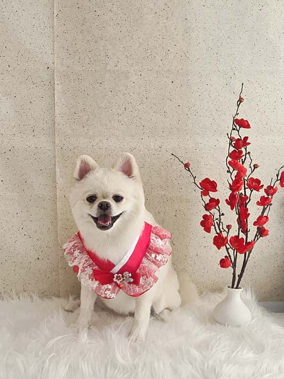 멍다다 · 네이버 지도·플레이스 3