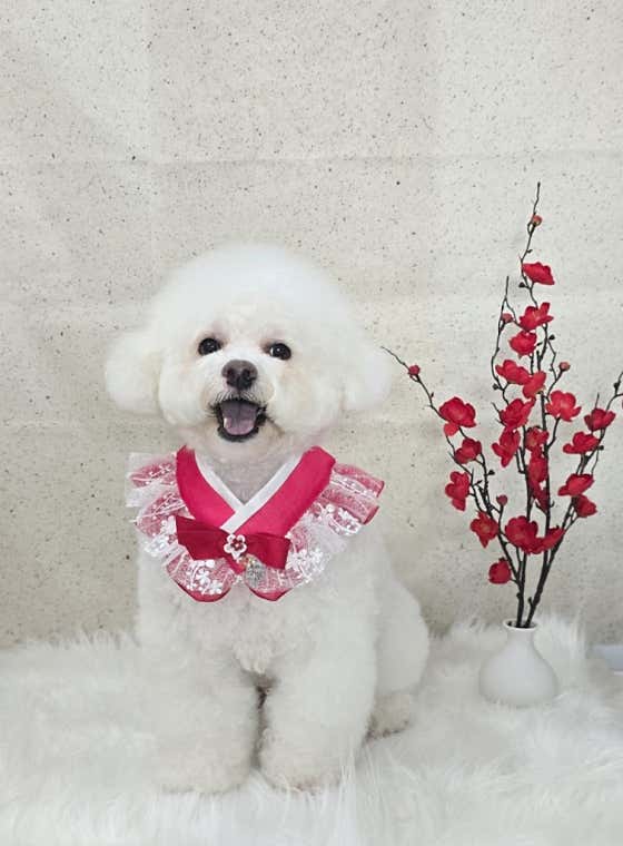 멍다다 · 네이버 지도·플레이스 2