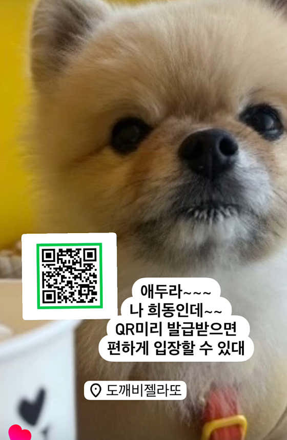 락토프리(유기친구보호센터기부) 메뉴 사진(네이버)