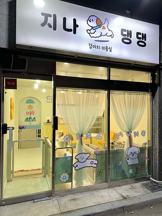 지나댕댕 · 네이버 지도·플레이스 3