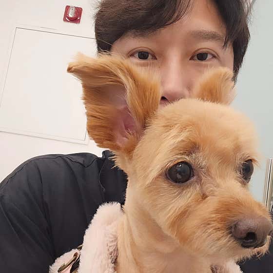 바우바우 반려견미용실