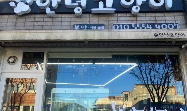 안녕고양이 대표 사진