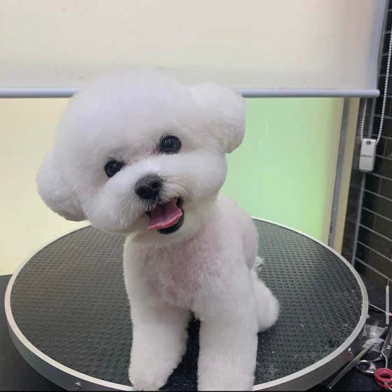 두리몽실 · 네이버 지도·플레이스 2