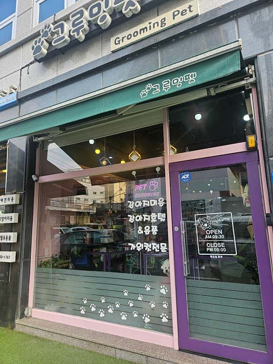 그루밍펫
