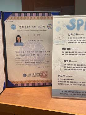 단독 · 네이버 지도·플레이스 5