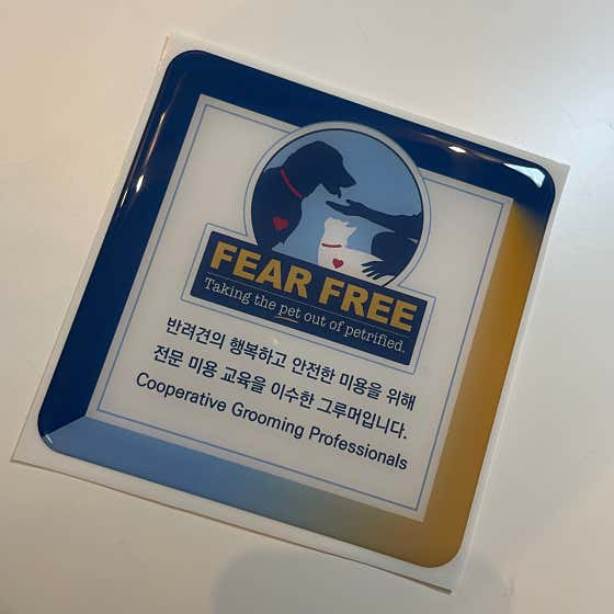 처비독 · 네이버 지도·플레이스 2
