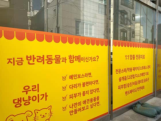 댕냥테라피 · 네이버 지도·플레이스 8