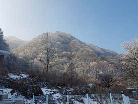춘천 금병산 캠핑장 사진