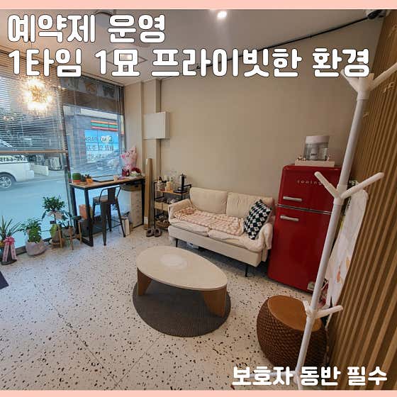 고양이무마취미용 캣 테라피 명지점 · 네이버 지도·플레이스 4