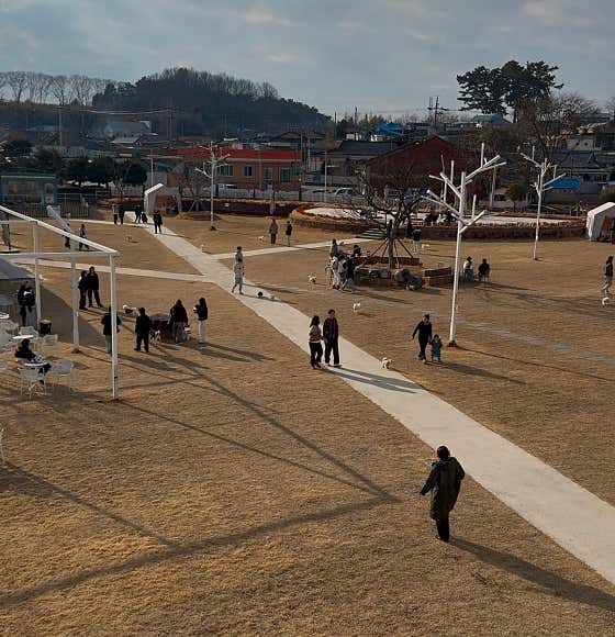 영필드 · 네이버 지도·플레이스 10