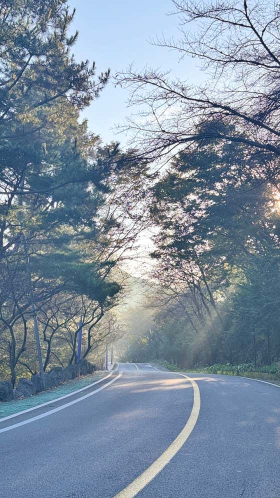 미들노트 · 네이버 지도·플레이스 6