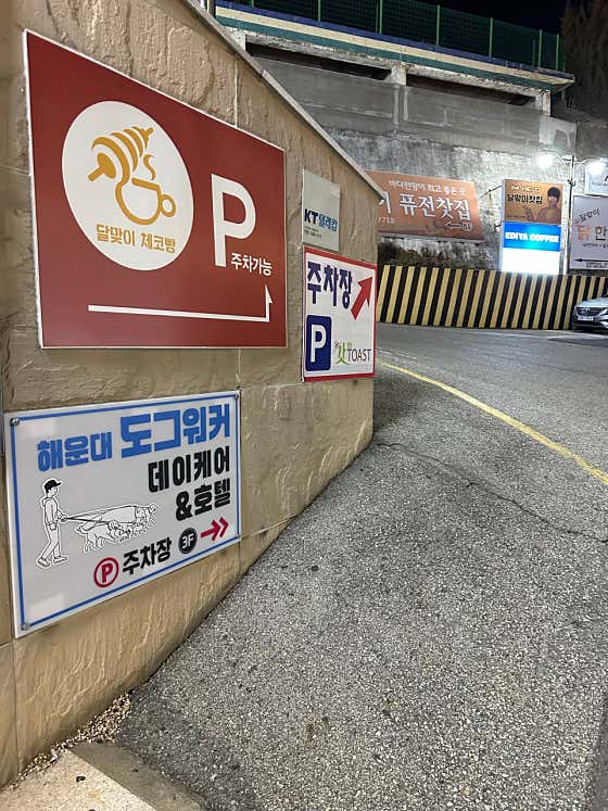 해운대도그워커 · 네이버 지도·플레이스 2