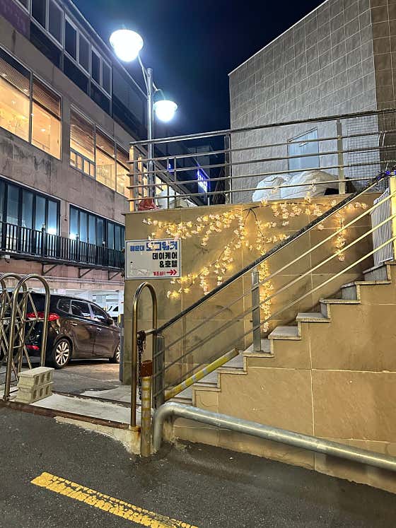 해운대도그워커 · 네이버 지도·플레이스 5