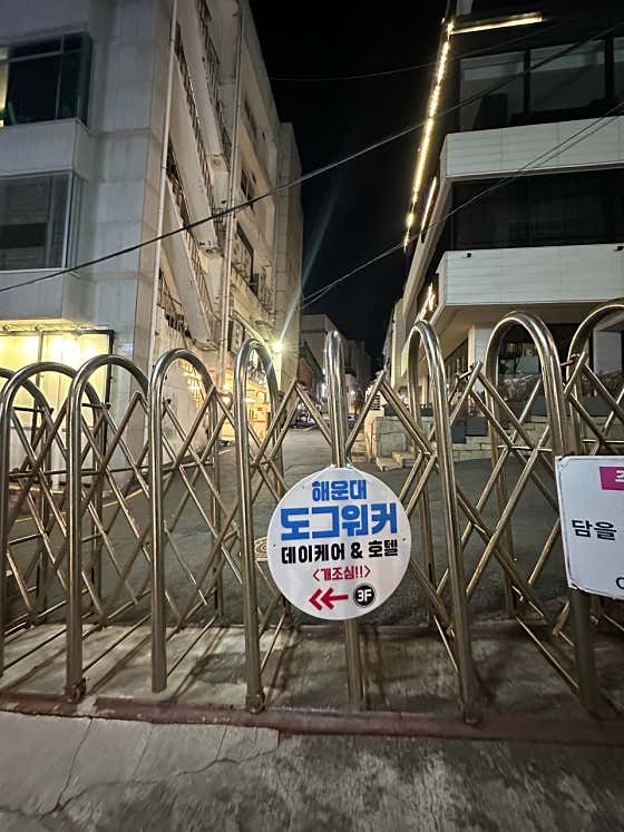 해운대도그워커 · 네이버 지도·플레이스 4