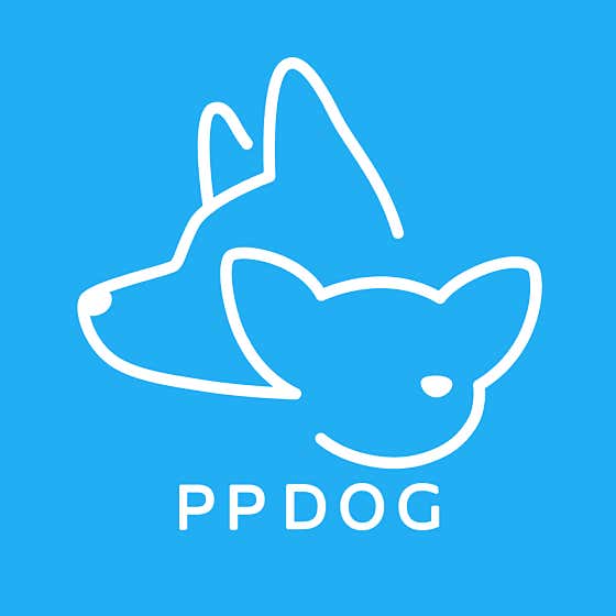 피피독 동탄애견유치원 애견호텔 애견교육 대표이미지