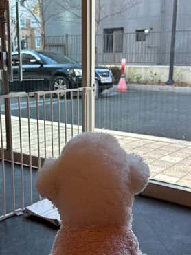 아로하반려동물케어센터