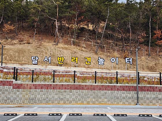 달서반려견놀이터