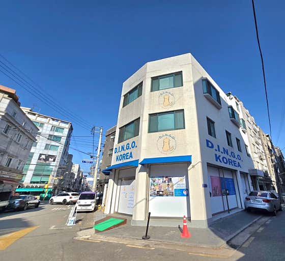 딩고코리아 반려견교육센터 애견훈련 애견유치원 애견호텔 · 네이버 지도·플레이스 2