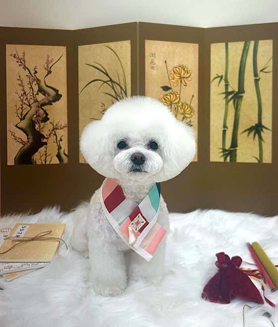 몽실몽실 · 네이버 지도·플레이스 5