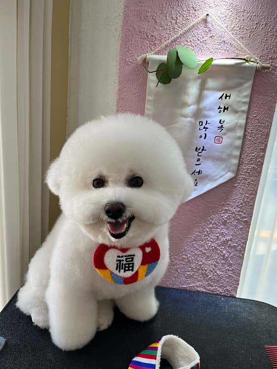 짱짱이네 · 네이버 지도·플레이스 9