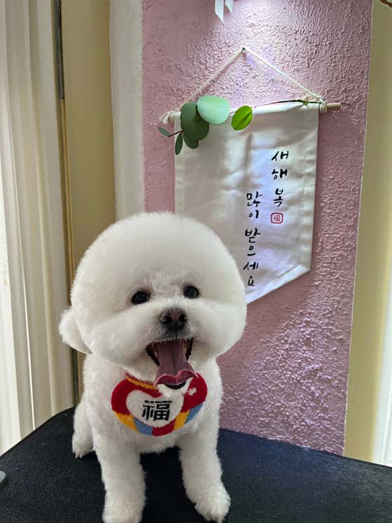 짱짱이네 · 네이버 지도·플레이스 7